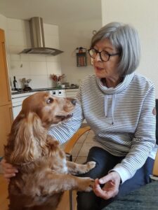 Eine Frau sitzt zu Hause am Küchentisch, der Hund steht hoch und stützt sich auf ihrem Knie ab