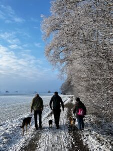 3 Mensch-Hund-Teams üben in der Gruppe an der Leine nebeneinander gehen, es ist schön aber es hat Schnee