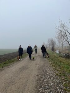 3 Hund-Mensch-Teams laufen während Social Walk an der Leine entspannt nebeneinander
