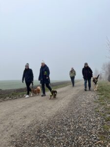3 Mensch-Hund-Teams üben in der Gruppe an der Leine gehen