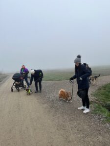 3 Hunde sind mit ihren Menschen an der Leine am spazieren auf einem Weg. 1 Frau mit Kinderwagen ist dabei, es ist neblig