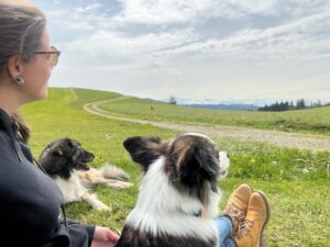 2 Hunde erholen sich mit Linda beim Spaziergang und liegen entspannt