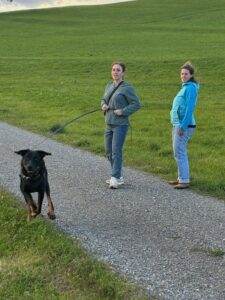 Einzeltraining: eine Frau übt mit ihrem Hund, der an der Leine springt, Linda schaut