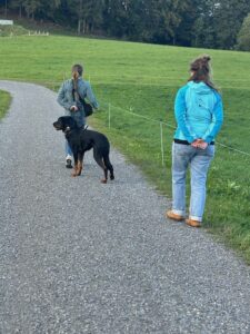 Intensivtraining: Linda schaut, wie eine Frau ihren Hund an der Leine führt und gibt Tipps