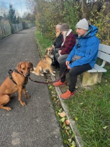 3 Mensch-Hund-Teams machen Pause auf einer Bank sitzend.