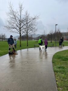 Gruppe von Mensch-Hund-Teams übt Leinenführigkeit, es regnet