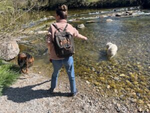 Auf einem Spaziergang dürfen Hunde in einem Fluss baden