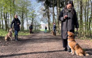 4 Mensch-Hund-Teams üben in der Gruppe Sitz, die Hunde konzentrieren sich auf ihre Menschen