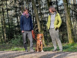 Einzeltraining: 1 Hund sitzt neben 2 stehenden Menschen und schaut gespannt in die Kamera.