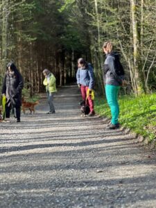 3 Frauen mit ihren Hunden üben Sitz und Leinenführigkeit
