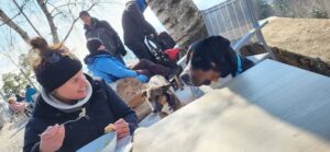 Linda sitzt an einem Tisch und isst, während ihr 2 sitzende Hunde zuschauen