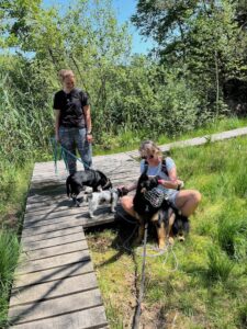 2 Menschen mit 3 Hunden machen kurze Pause, 1 Hund ist an der Leine, einer frei, einer mit Maulkorb