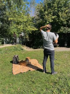 Social Walk: Ein Mann steht entspannt im Gras, während sein Hund daneben auf einer Decke liegt