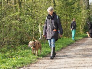 Hundetraining im Wald: eine Frau und ihr Hund laufen ruhig an der Leine im Vordergrund, im Hintergrund ist Linda mit einem Mensch-Hund-Team am üben, Hund sitzt