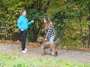 Einzeltraining: Linda spricht mit einer Frau, die ihren Hund am Geschirr hält. Der Hund schaut in die Kamera