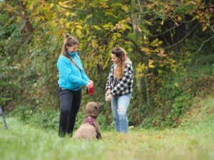Intensivtraining: Linda und eine Frau lachen, während ein Hund dasitzt und auf die Hand der Frau schaut