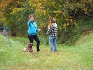 Einzeltraining: Linda erklärt einer Frau etwas, der Hund liegt entspannt da und schaut seine Besitzerin an