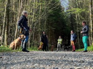 Gruppentraining: 4 Hund-Mensch-Teams üben Sitz auf einem Waldweg