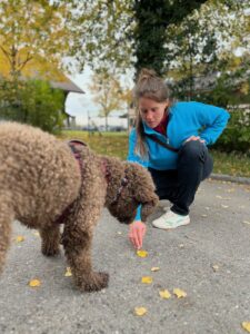 Hundetraining auf der Strasse, Linda zeigt dem Hund etwas auf dem Boden, der Hund schaut